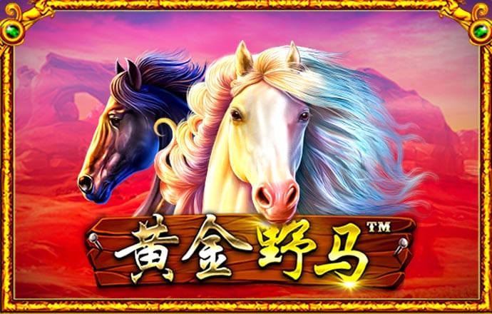 金年会体育app入口